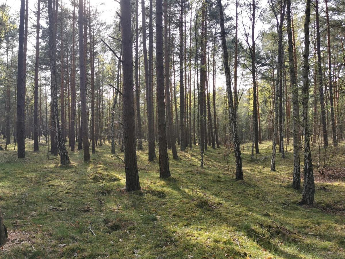 M&K Apartamenty - Morska Bryza, Sobieszewo- Wyspa Sobieszewwska Gdańsk Eksteriør bilde